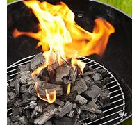 Carbone Biologico Vegetale Ideale per Barbecue Lotus Grill Legna di Leccio Pura Made in Italy | Selezionato a Mano (5 kg)