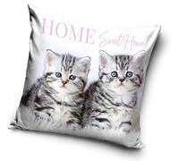 Carbotex Federa per Cuscino, Motivo Gatti, 40 x 40 cm (PNL214083)