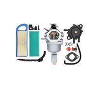 CARBURATORE 18,5 CV ADATTO for LT1000 LT2000 DYT4000 Z225