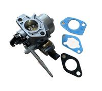 CARBURATORE 813280 PER Briggs & Stratton 25T3 / 25T MOTORE A GAS PARTE