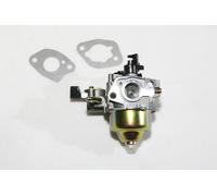 Carburatore Adatto A per Einhell Bg-Pm 46 S Tosaerba Guarnizioni / 0195