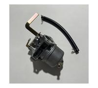 Carburatore adatto for generatore a benzina TG3000 163CC 3000
