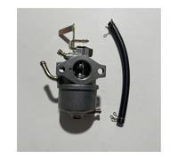 Carburatore adatto for generatore Powerstroke PS3000 193CC 3000 3500 Watt