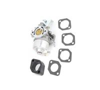Carburatore adatto for GM291 GM301 GB290 GB300 GT1000 8HP 10HP