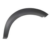 Modanatura decorativa/protettiva, parafanghi BLIC 5703-08-6425378P