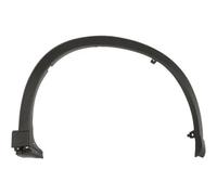 Parafango - modanatura di rifinitura/protezione BLIC 5703-08-3495376P