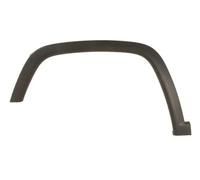 BLIC 5703-06-3217571P Modanatura decorativa / protettiva, Parafango