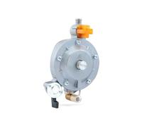Carburatore del decespugliatore Parti del generatore a benzina GT241 154F per motore a doppio uso GPL Kit carburatore manuale Valvola di regolazione 30-1560KPa P15A-LPG Dual Fuel(2)