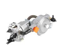 Carburatore del tosaerba 2.8KW GX200 170F Bobina di soffocamento manuale GX160 2KW 168F Strumento di potere Generatore Dual Fuel Carburatore GPL NG Kit di conversione