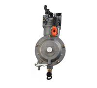 Carburatore del tosaerba Generatori a benzina 2-5KW per utilizzare metano GNC/propano GPL per regolatore di pressione per zero e kit carburatore a gas Kit di conversione