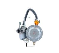 Carburatore del tosaerba Parti del generatore a benzina GT241 154F per motore a doppio uso GPL Kit carburatore manuale Valvola di regolazione 30-1560KPa P15A-LPG Dual Fuel(1)