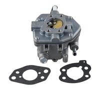 Carburatore facile da installare con guarnizioni per modelli serie motore Vangua