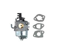 Carburatore facile installazione compatibile con motori serie RH di per HUAYI