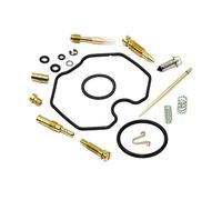 Carburatore Kit di Riparazione Vollsatz per Honda CRF 100 F HE03A 06-09 & 12-13