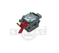 Carburatore motosega T260 CS-2511-TES 251-TCS compatibile PROTOP ECHO