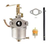 Carburatore per generatore a Benzina GG1300 da 1000 Watt,2,4 CV e 807 CC,Completo di guarnizioni,Filtro Carburante e Kit Tubo Carburante.