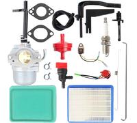 Carburatore per generatore Coleman Powermate 6250 Modello PM0545007.01