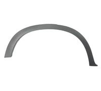 Carburatore posteriore Dx nero 5703-04-0096596P BLIC per BMW X5