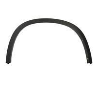 Modanatura decorativa/protettiva, parafanghi BLIC 5703-04-0099595P