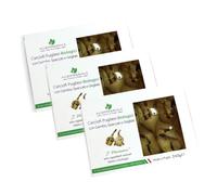 Carciofi Pugliesi Biologici con Gambo Spaccati e Grigliati 3 pezzi 240 g - Linea "I Purissimi" in Olio Extravergine d'Oliva, Biologici, Naturali e Italiani