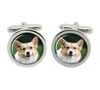 Cardigan Welsh Corgi Gemelli IN Cromo Scatola