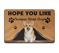Cardigan Welsh Corgi, Per Il Regalo Degli Amanti Dei Cani Tappetino Da Bagno Resistente Zerbino Di Benvenuto Divertenti Tappeto Ingresso Casa Per Interno Balcone Terrazzo 40X60Cm