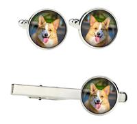 Cardigan Welsh Corgi set di mollette in una scatola con immagine Art-Dog