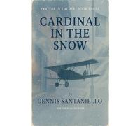 Cardinal In The Snow: 3