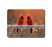 Cardinal - Tappetino scolapiatti per bancone della cucina, in gomma assorbente, motivo uccellino rosso, tappetino scolapiatti invernale in pelle sintetica per proteggere bar, 45 x 61 cm