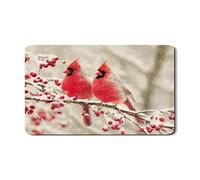 Cardinal, tappetino scolapiatti per bancone della cucina, tappetino scolapiatti in gomma assorbente con uccellino rosso, tappetino scolapiatti invernale in pelle sintetica per proteggere bar, 30,5 x
