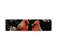 Cardinals Birds Fauna Wildb Grande Banner per feste 120 x 30 cm da appendere alla parete banner per feste di compleanno all'aperto e interni banner decorazione per feste