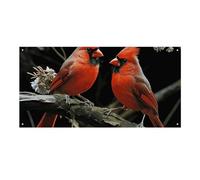 Cardinals Birds Fauna Wildb Grande Banner per feste 120 x 60 cm da appendere alla parete banner per feste di compleanno all'aperto e interni banner decorazione per feste