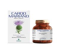 Cardo Mariano