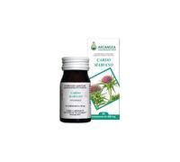 CARDO MARIANO 60CPS 500MG ARCANG