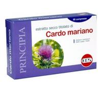 CARDO MARIANO ESTR SEC 60CPR K