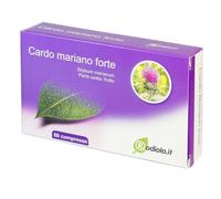 Cardo mariano FORTE 80% silimarina il Detox più forte possibile