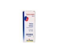Cardo Mariano Tintura Madre - Boiron - 60 ml