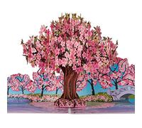 Cardology Biglietto Pop-Up con Fiori di Ciliegio Rosa | Biglietti di Compleanno per Lei, Biglietti per la Festa della Mamma, Biglietti per San Valentino, Biglietti per Guarire Presto