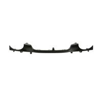 Listello decorativo Frontale d. veicolo 6502-07-8114210P BLIC