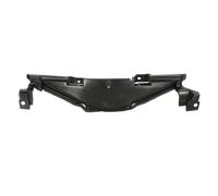 Carenatura anteriore - parti BLIC 6502-08-8156204P