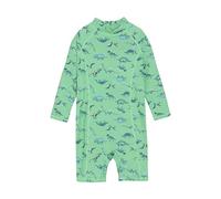 CareTec Swim Suit L/S - Boys, Costume da Bagno Bambini e ragazzi, Verde (Absinthe Green), 98