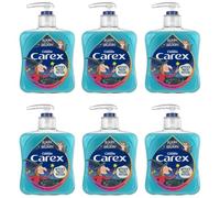 Carex Room on the Broom Witch's Magic Potion, detergente antibatterico per mani, pulisce e protegge le mani, confezione da 6 x 250 ml