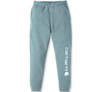 Carhartt Midweight Tapered Graphic Pantaloni della tuta, verde-blu, taglia L per maschi