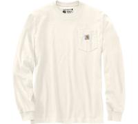 Carhartt Mountain Graphic Langarmshirt Manica lunga, beige, taglia L per maschi