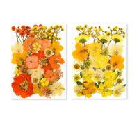 Cari ricordi con i nostri 2 set confezione di fiori veri pressati per artigianat