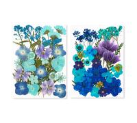 Cari ricordi con i nostri 2 set confezione di fiori veri pressati per artigianat