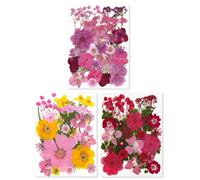 Cari ricordi con i nostri 2 set confezione di fiori veri pressati per artigianat
