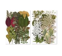Cari ricordi con i nostri 2 set confezione di fiori veri pressati per artigianat