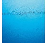 Caribou Suddenly (CD)