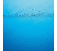 Caribou Suddenly (CD)